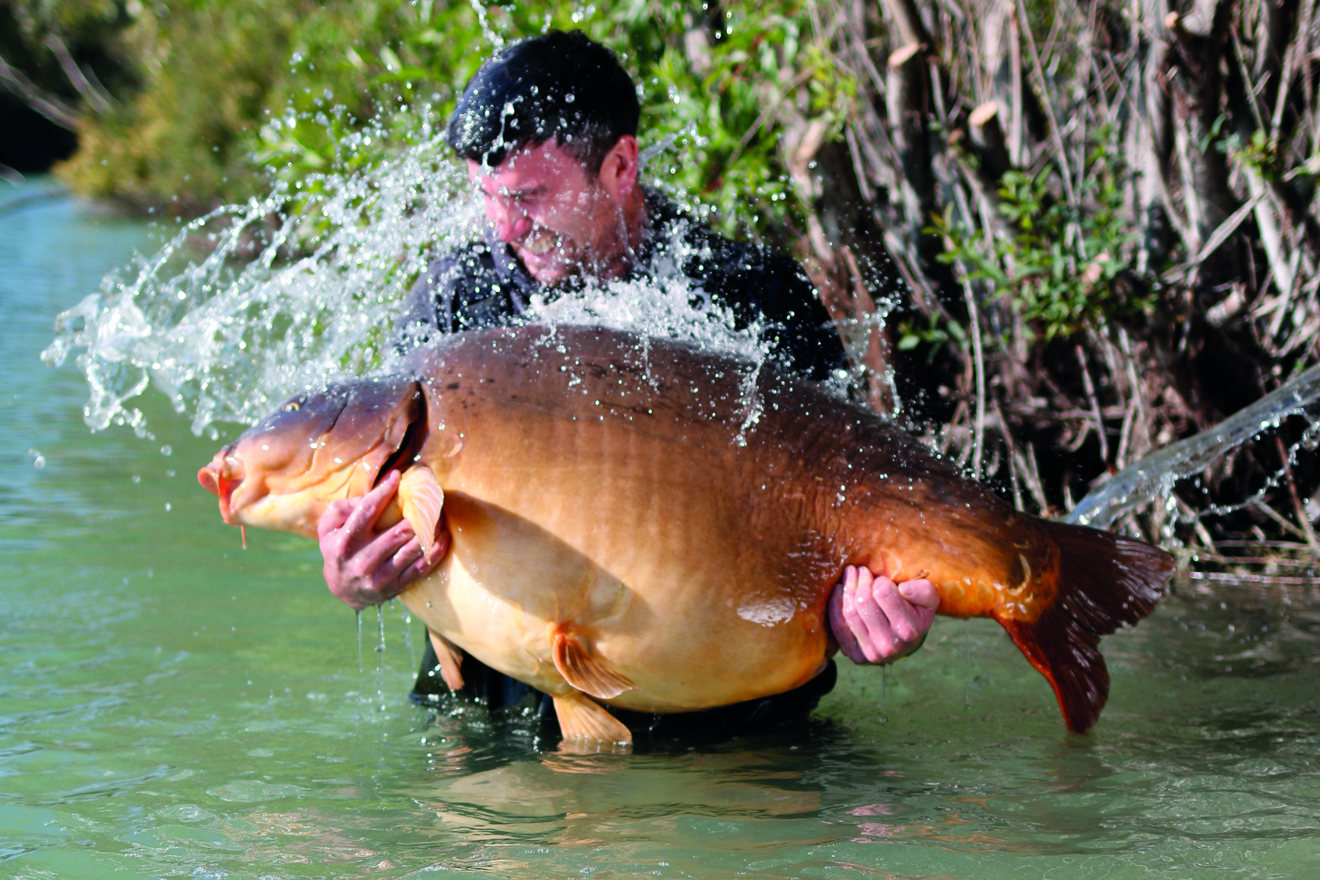 In session at Gigantica – Huge carp