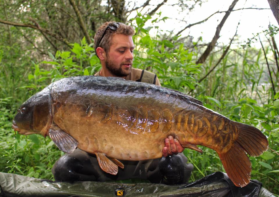 The Biggest & The Best