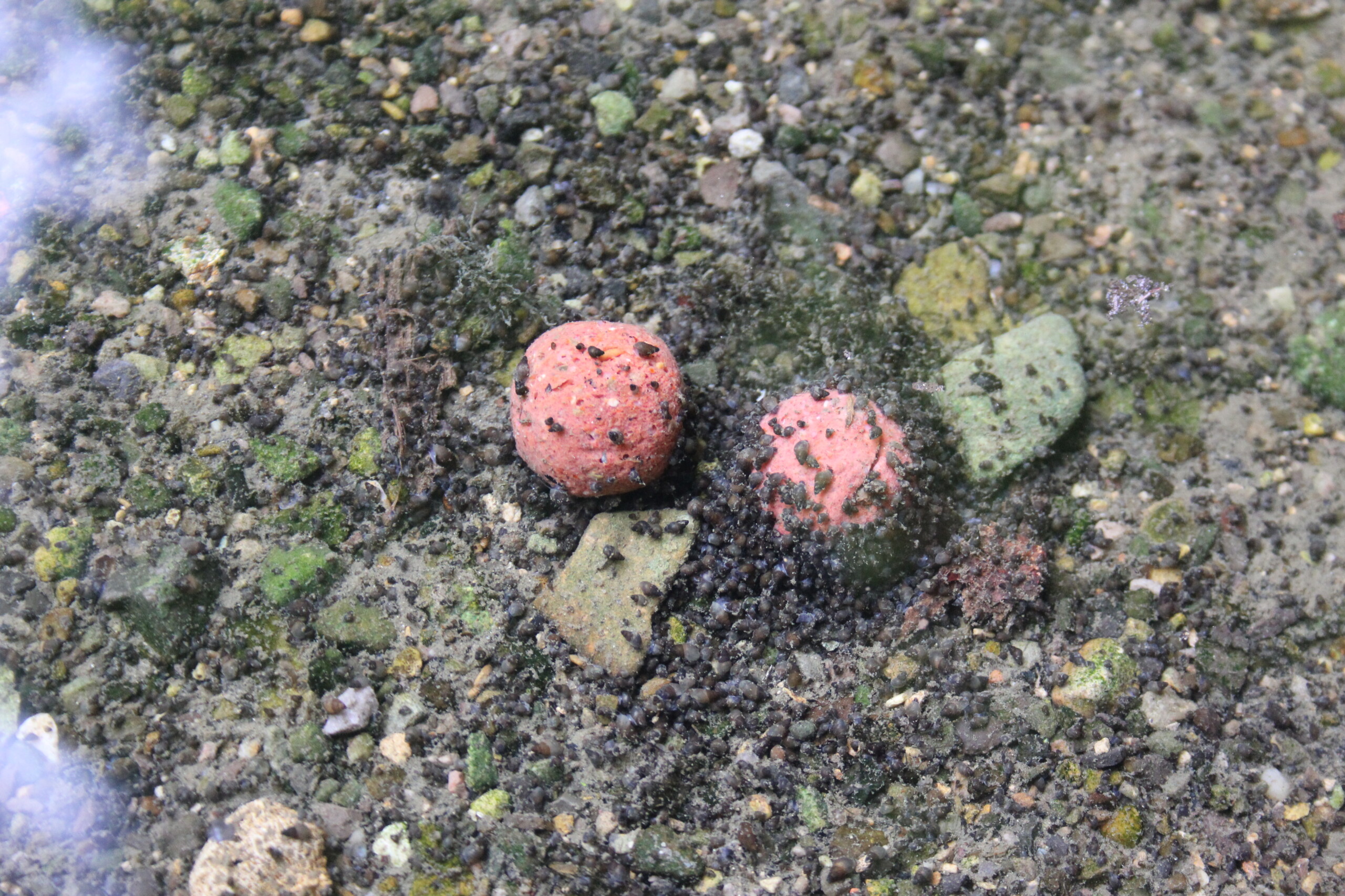 Finding the SPOT – Mark Bryant