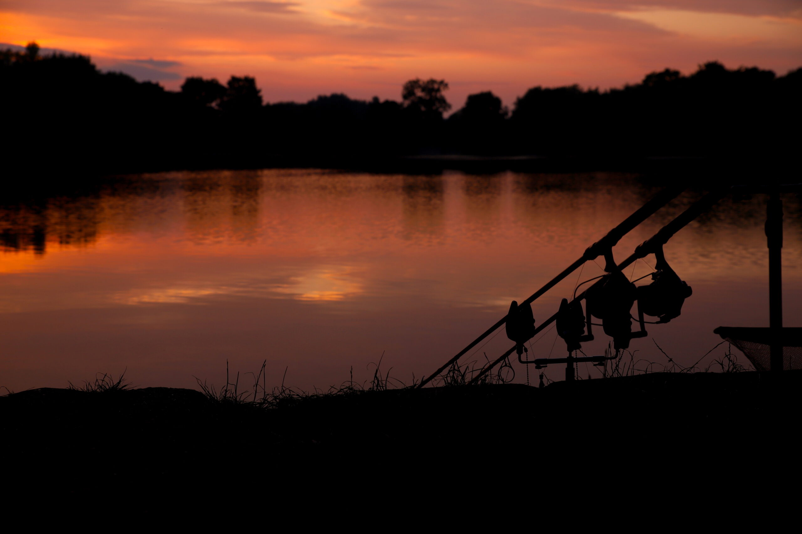 Consistency Catches Carp – Mike Holly