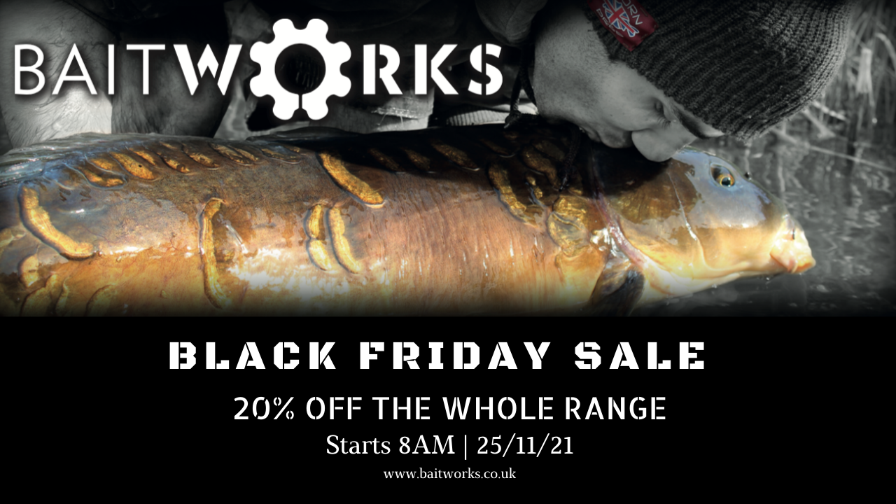 BLACK FRIDAY SALE – 20% OFF