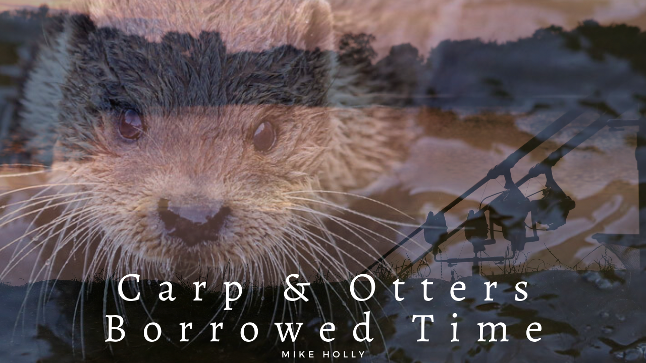 Carp &amp; Otters – Mike’s new Vlog LIVE