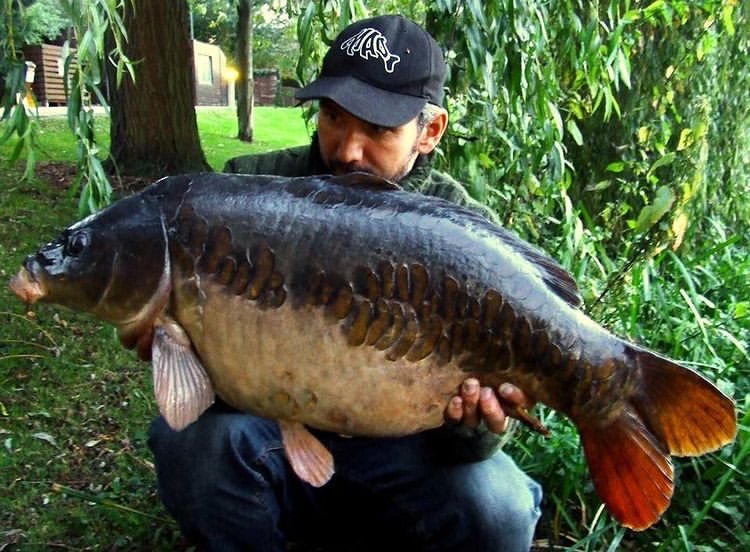 June Podcast – River Monsters – Dave Little