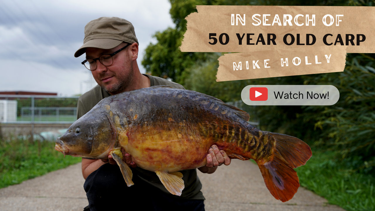 In Search of 50 Year Old Carp – Mike Holly
