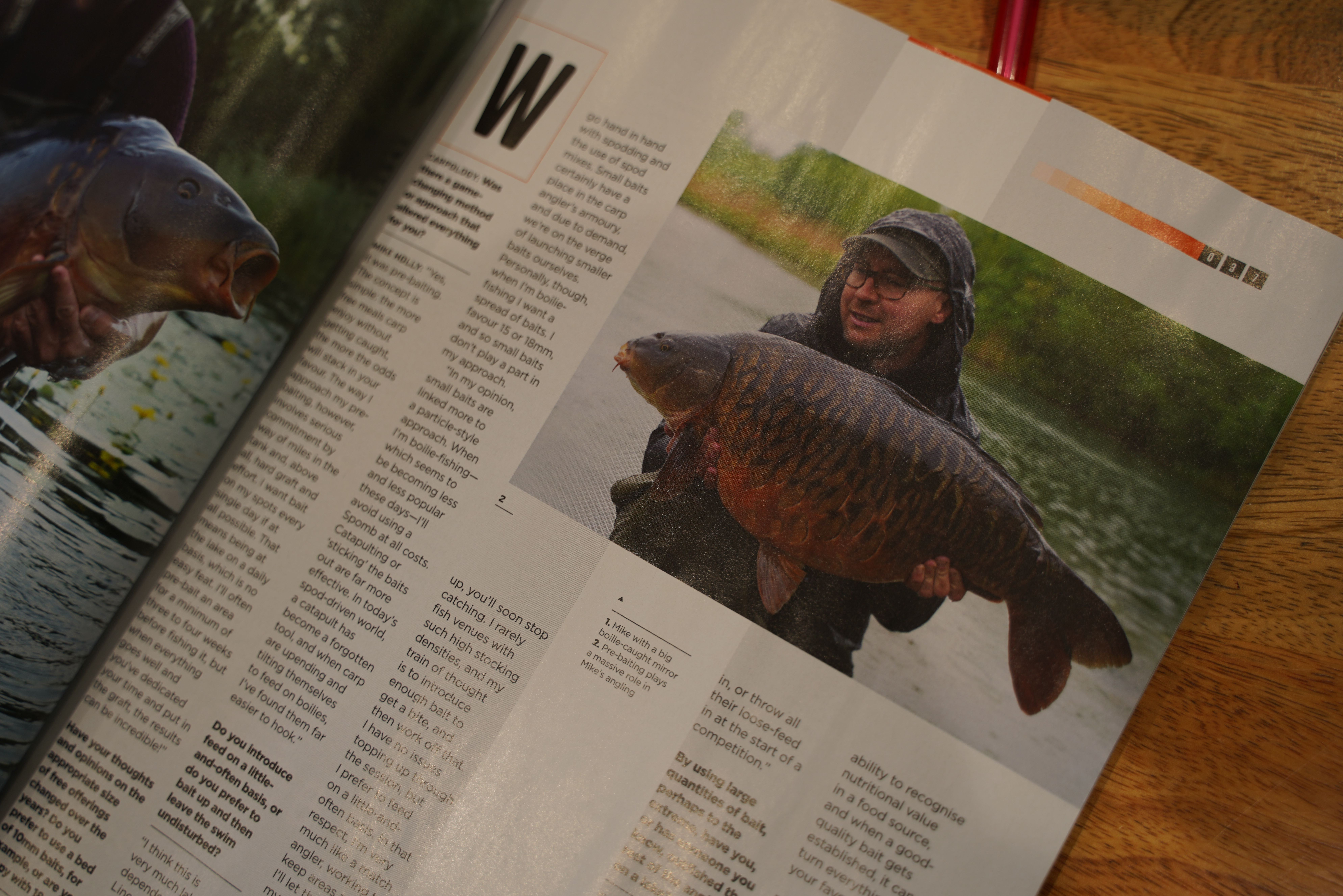 Bait – Carpology – Mike Holly