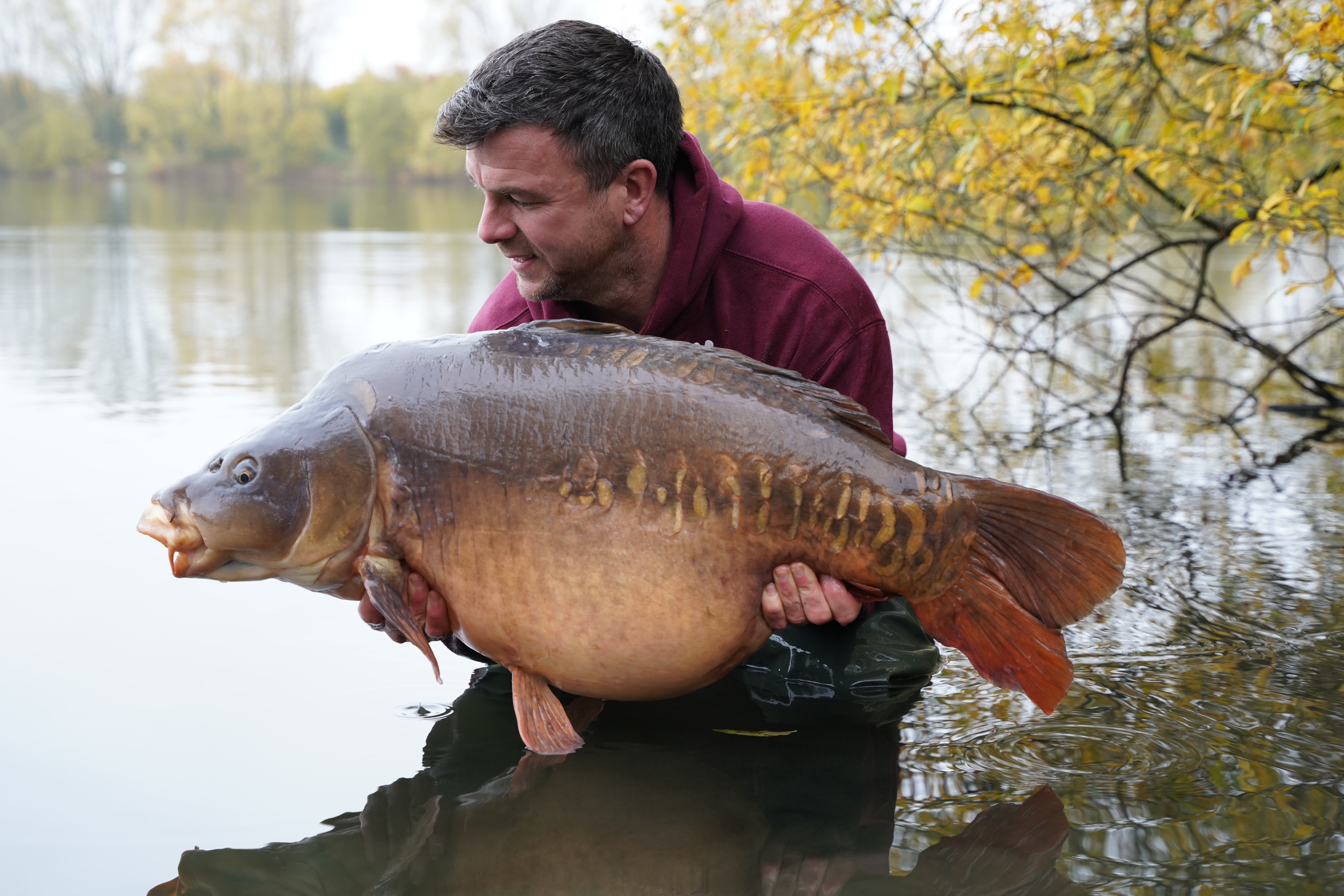 The Awful Autumn – Whats Changed?