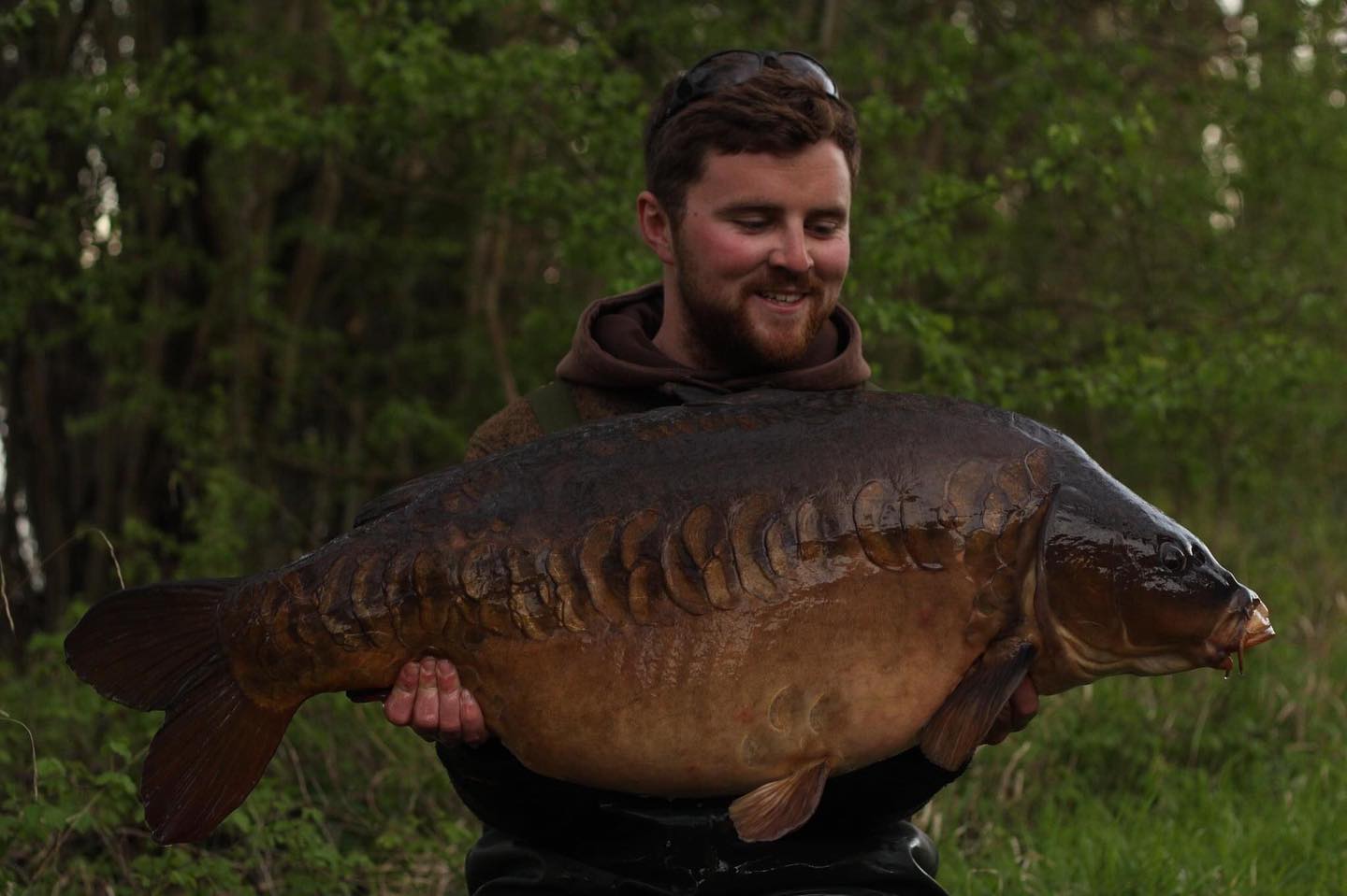 Podcast Drop – Will Bradley – Drive and Determination