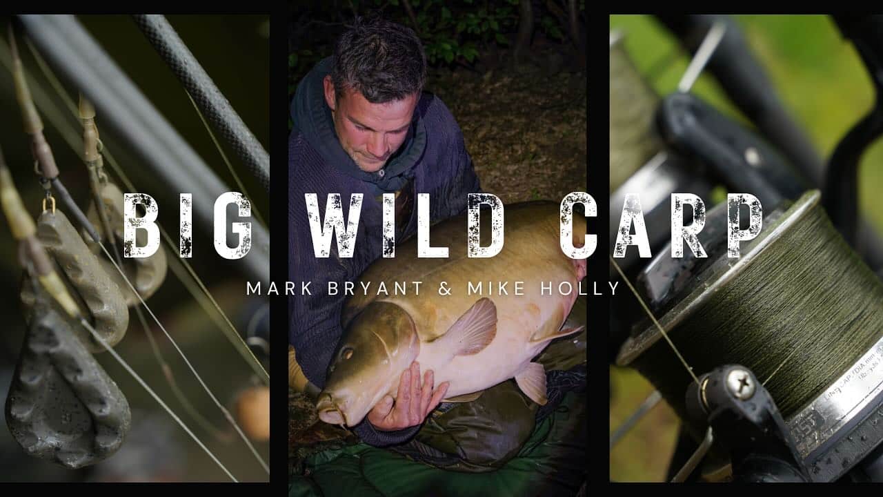 New Video LIVE NOW – BIG WILD CARP