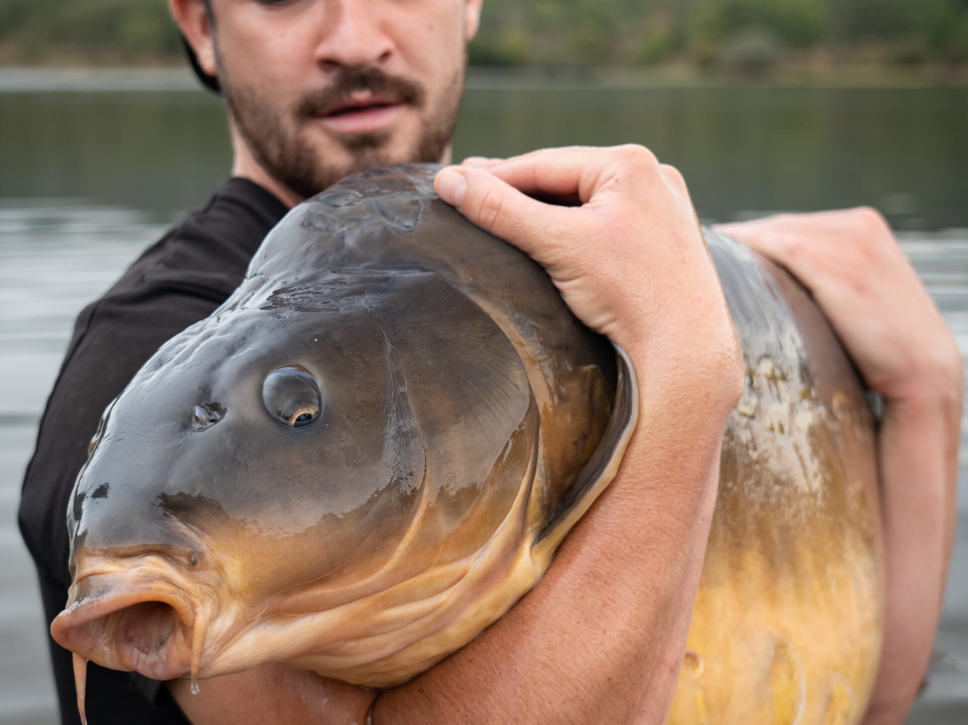 Podcast Drop – Henry Lennon – Globe Trotter