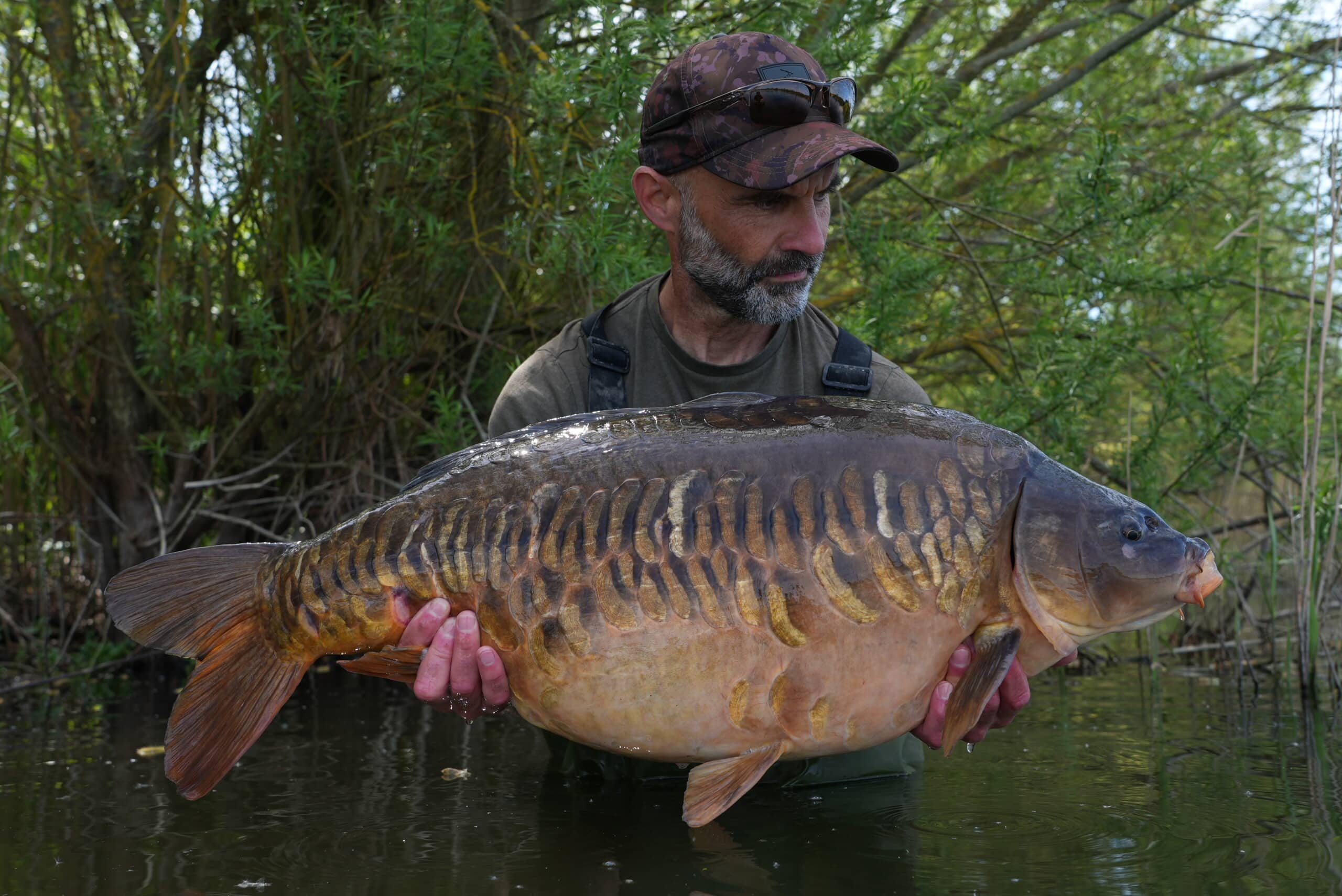 SUPPORTING THE TRUST