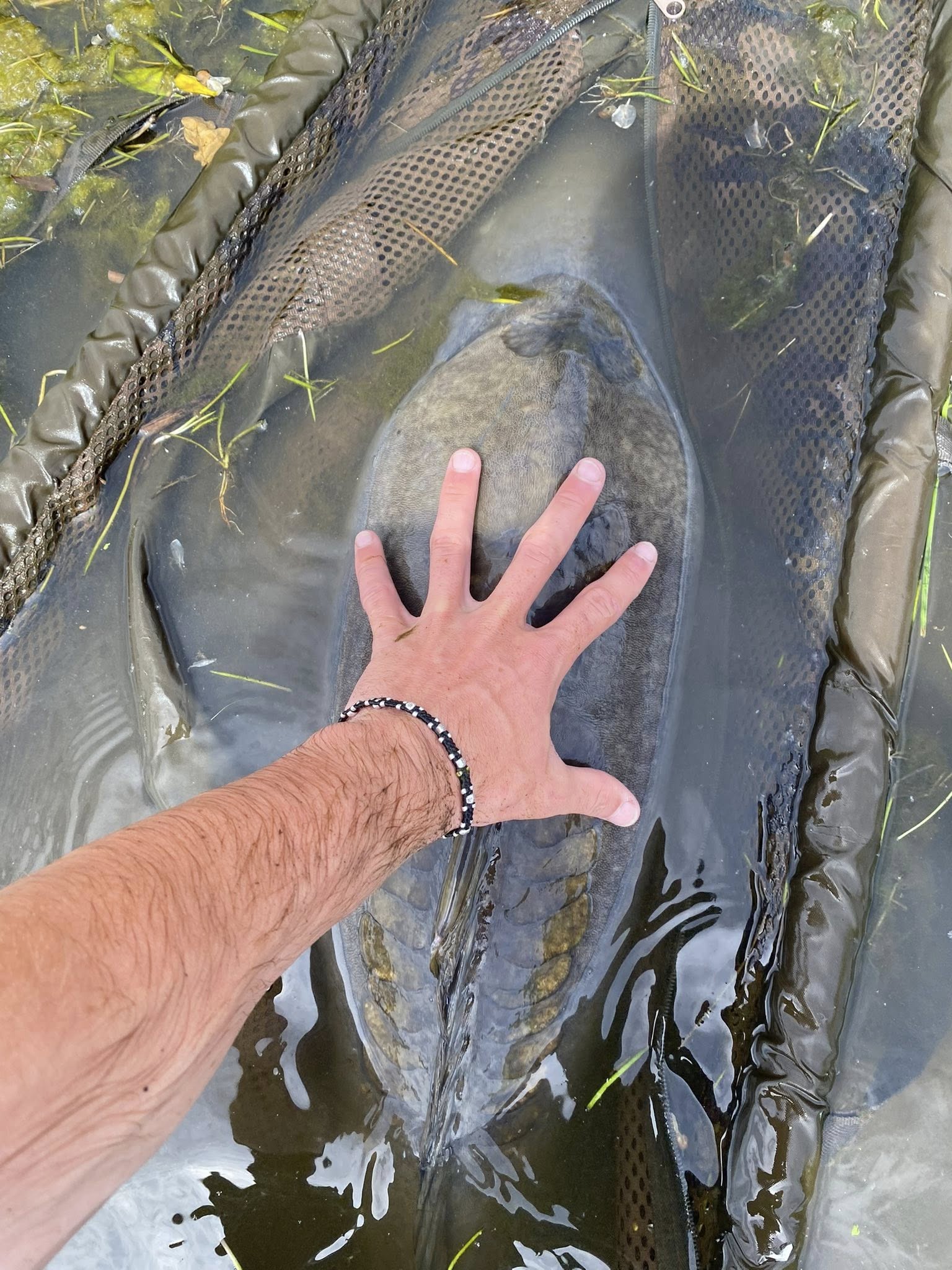 Podcast Drop – Otto Reade – A solo trip around the globe