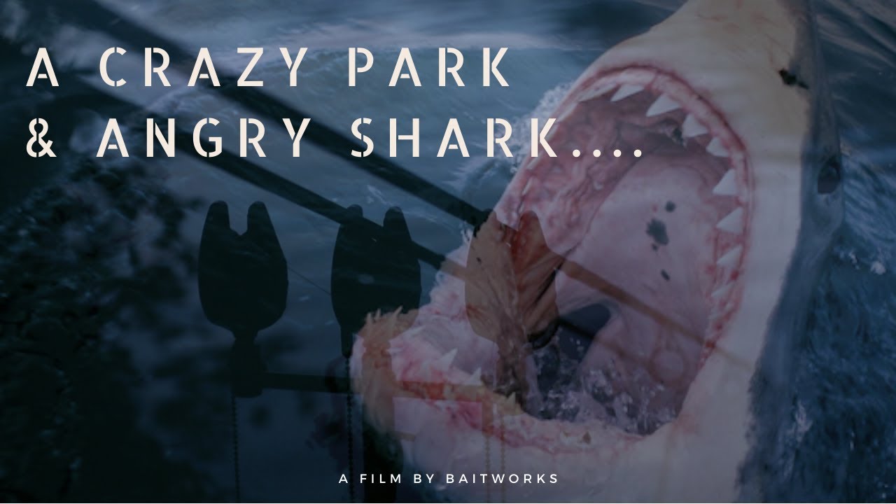 Carp &amp; Sharks – Mike’s Vlog