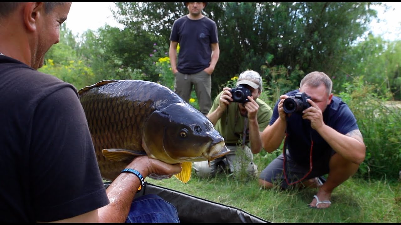 Wild Carp Fishing – Mike’s Blog