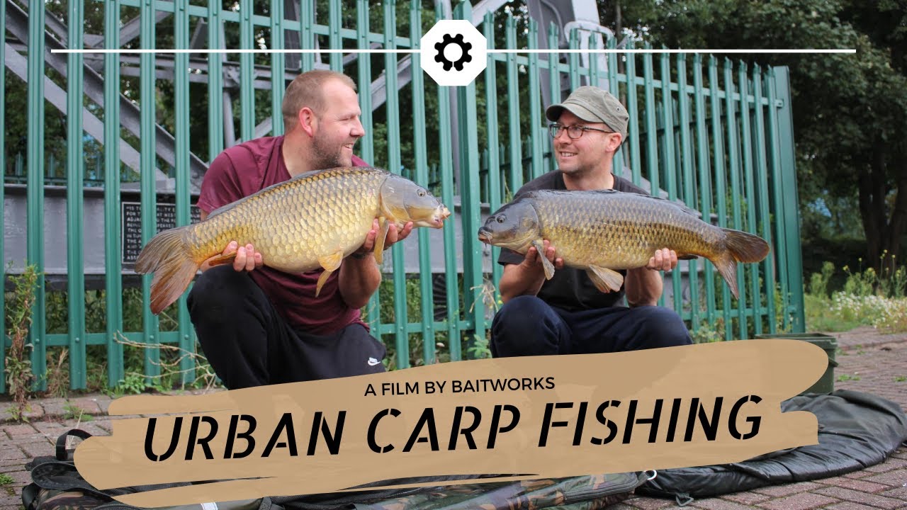 URBAN Carp Fishing – Mike’s Blog